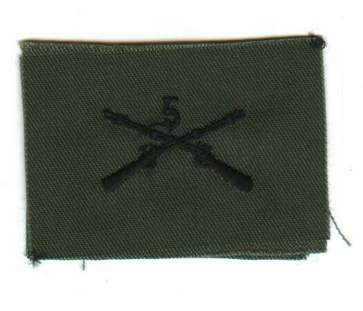 Army 5th Infantry Collar, Subdued