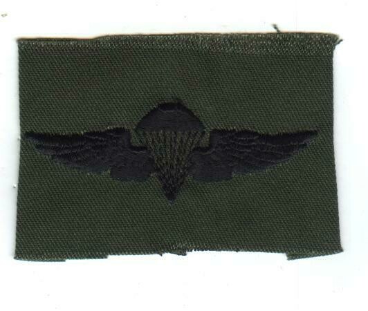 USMC Parachutist, Subdued