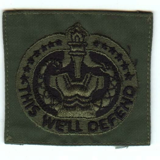 Army Drill Instructor, Subdued
