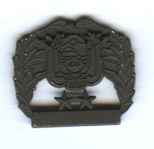 Colombian Army Reserve Badge-Subdued