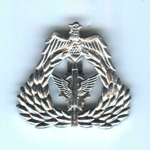 Iraqi Anti-Aircraft Artillery Badge