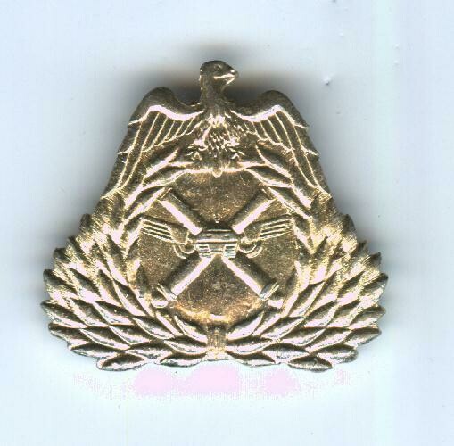 Iraqi Armor Division Badge