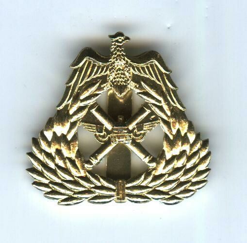 Iraqi Armor Division Badge-Officer