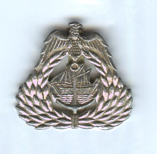 Iraqi Navy Fleet Badge