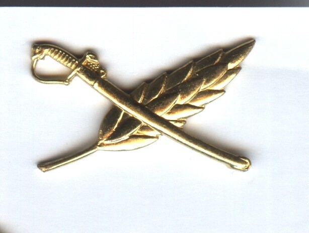 Venezuela Insignia