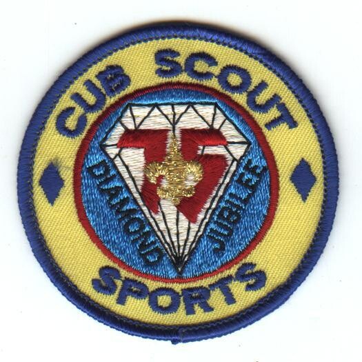 Cub Scout Sports