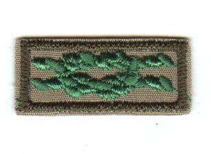 Scouter&#39;s Training Award Knot