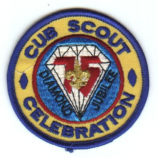 Cub Scout Celebration