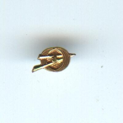 Scout Pin