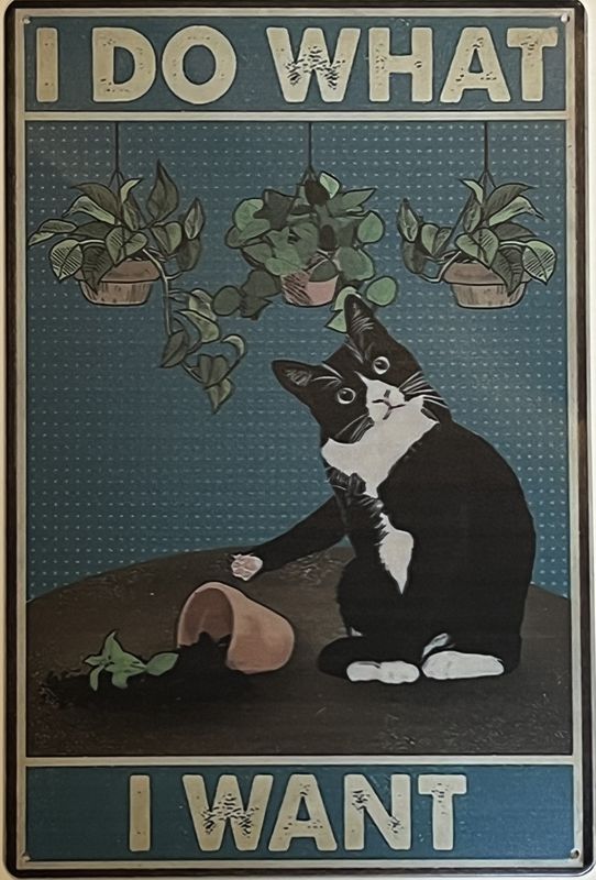 I Do What I Want Sign-12&quot;x8&quot;-Metal