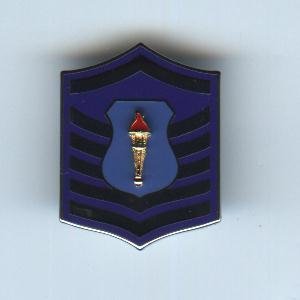 Master Sergeant Rank