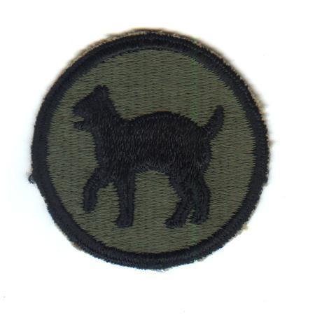 81st Infantry Division-CE