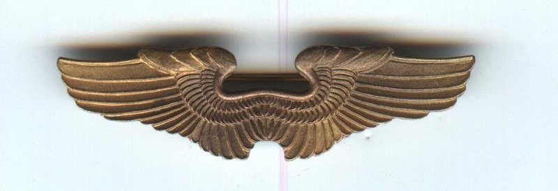 Army Air Corp Instructor Wings