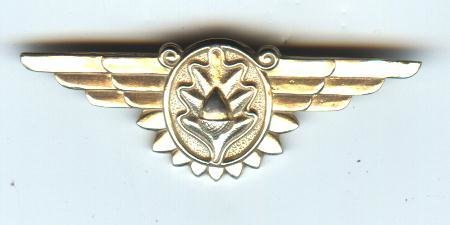 WW2 Naval Flight Surgeon