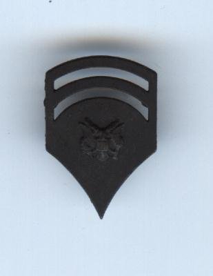 Army Specialist 6 (Subdued)