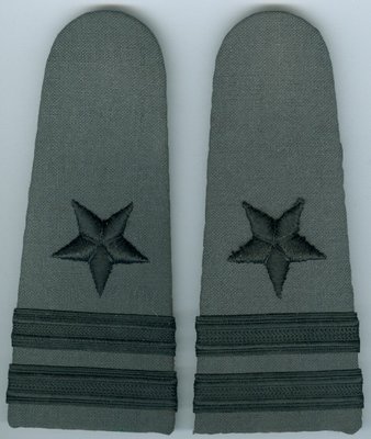 U.S. Navy/Coast Guard Ranks