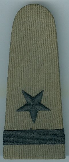 USN Ensign WW2 Gray Hard Shoulder Boards