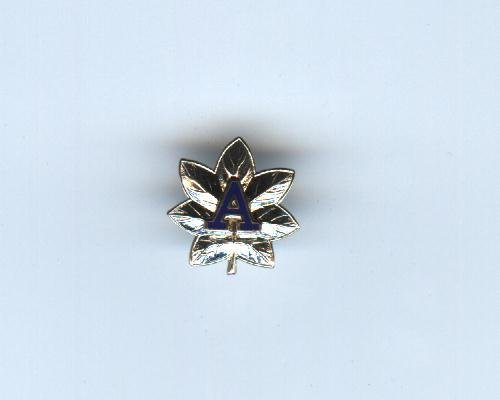US Coast Guard Auxiliary District Vice Captain