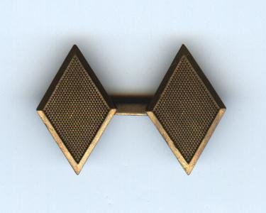 Army ROTC Lt. Colonel