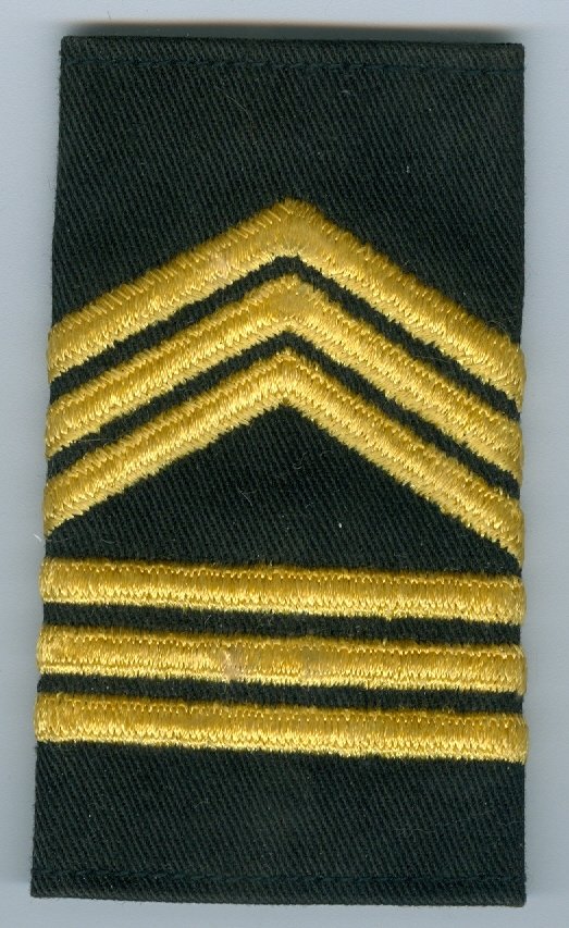 Army ROTC Master Sergeant