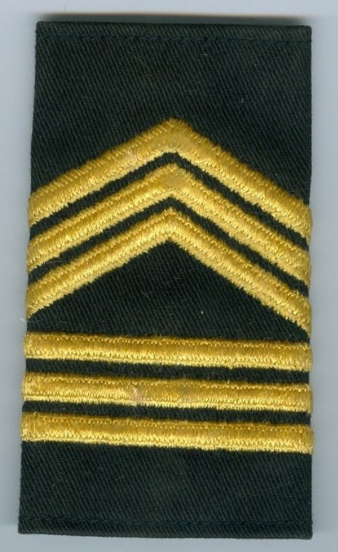Army ROTC Master Sergeant