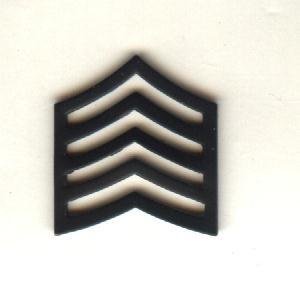 Army ROTC Battalion Commander