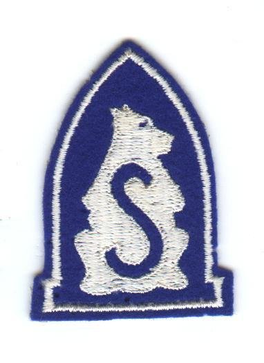 American Expeditionary Force Siberia-WW1-Felt