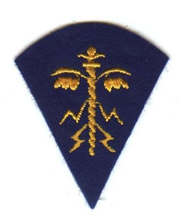 A.E.F. Liaison Service-WW1-Felt