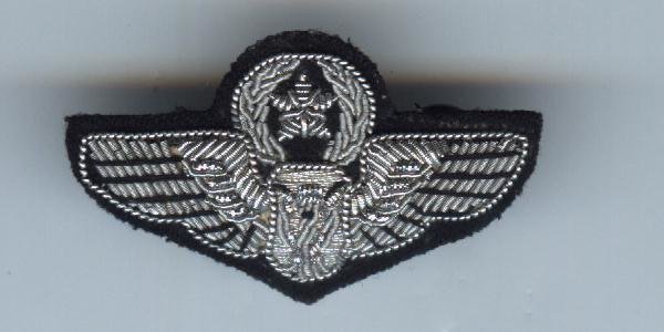 Air Force Master Crewman (Bullion)