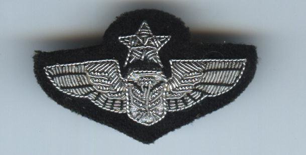 Air Force Senior Crewman (Bullion)