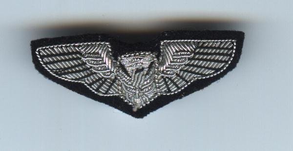 Air Force Crewman (Bullion)
