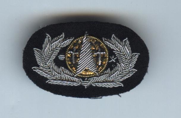 Air Force Space &amp; Missile (Bullion)