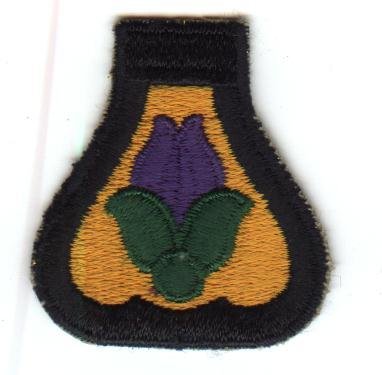 21st Cavalry Division-CE