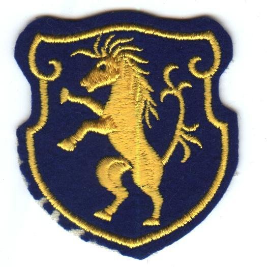 6th Cavalry Group-Felt