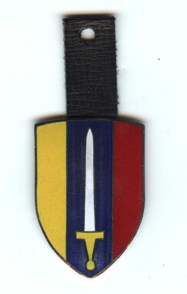 US Army-Vietnam Pocket Badge