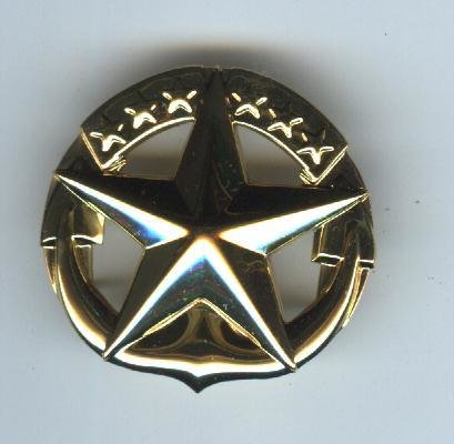 US Navy Command at Sea Breast Badge-Gold