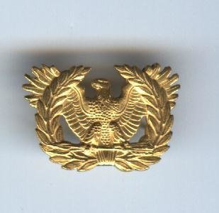 US Army Warrant Officer-Gold