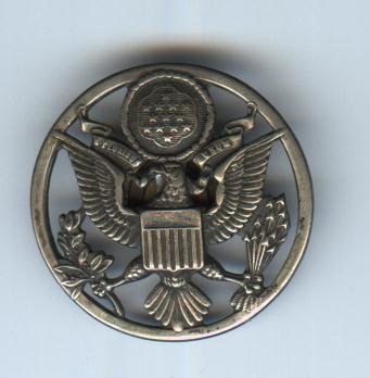 US Air Force Eagle