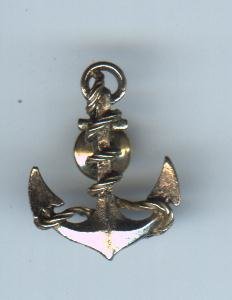 Anchor Pin
