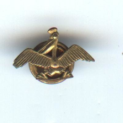 Pelican Sailer Pin