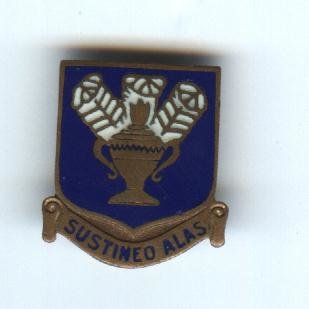 US Army Air Force Technical Training Cmd-Sustineo Alas-NS Meyer