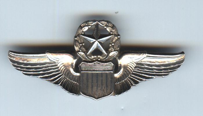 Air Force Command Pilot Wing (Anondized)