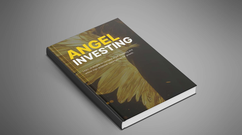 Angel Investing - Ebook