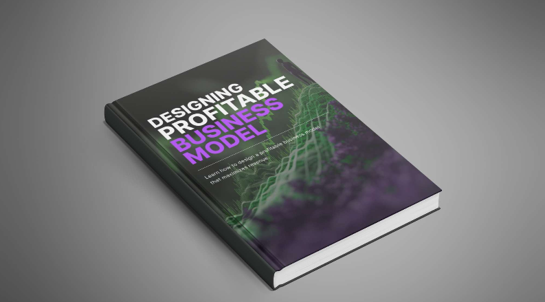Designing a Profitable Business Model - Ebook
