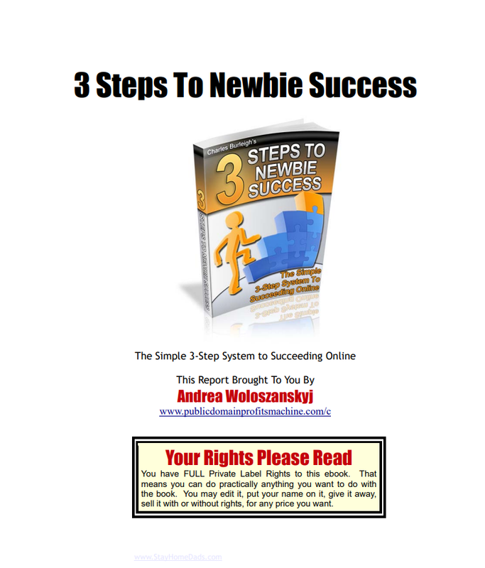 3 Steps To Newbie Success