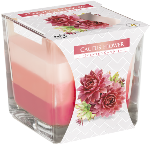 Bougie arc- en - ciel Fleur de Cactus