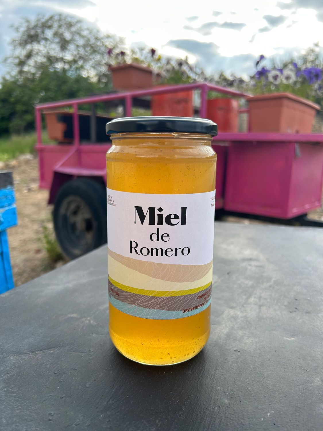 Miel de Romero