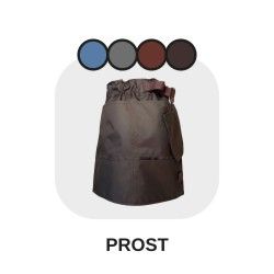 model PROST