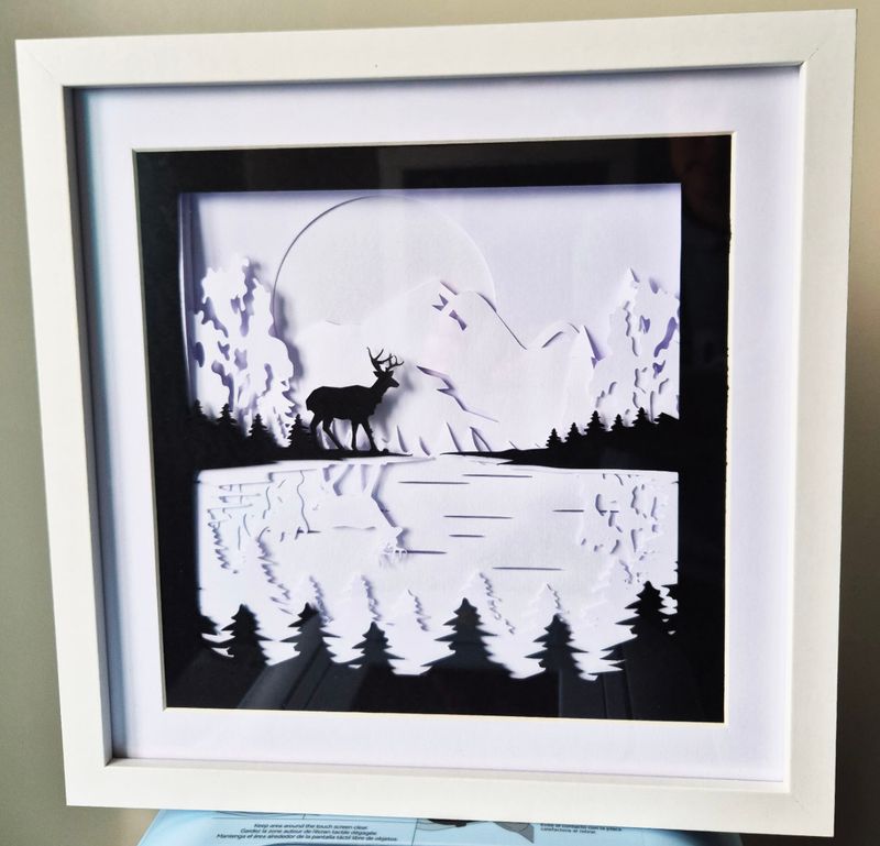 black and white deer