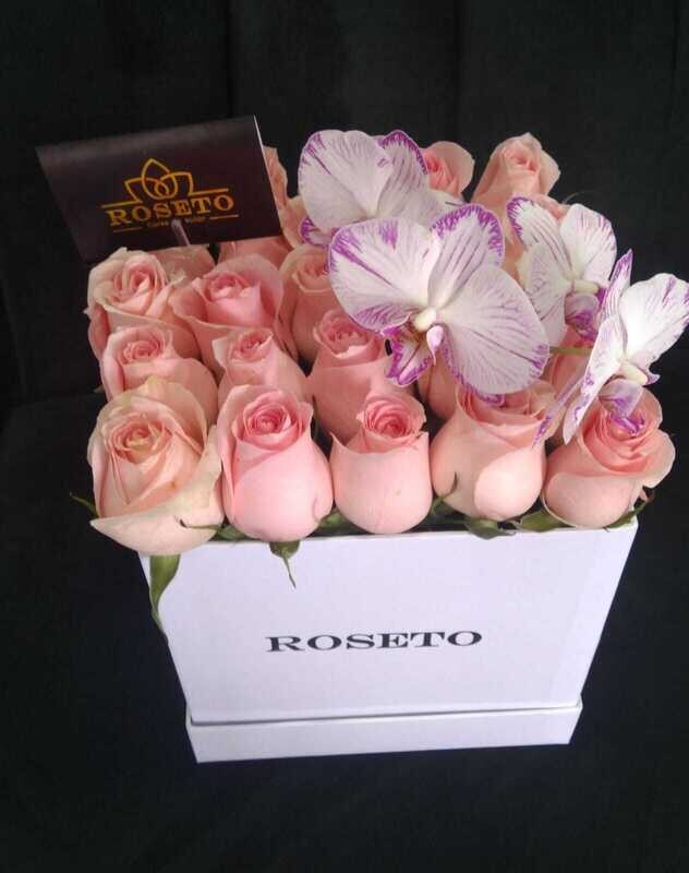 Square Box Rosas